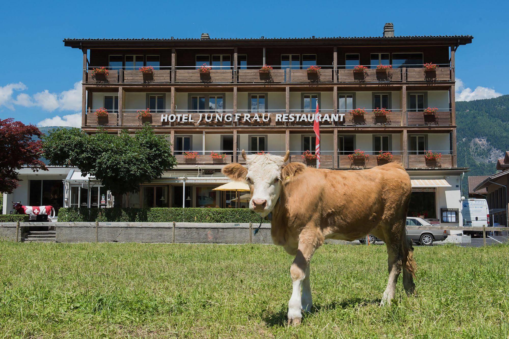 Jungfrau Hotel Wilderswil Exteriör bild